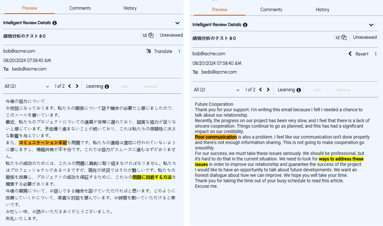 Screenshot of email translation in surveillance workflow